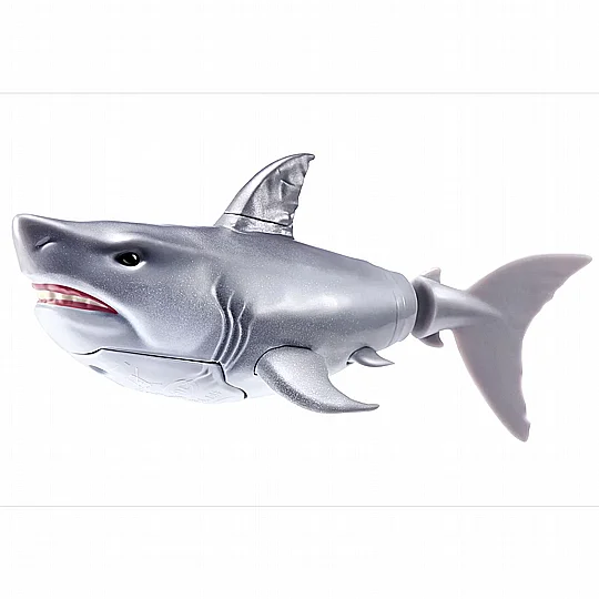 ���� ����� - ������ ����������� - �� ���