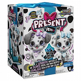 פרזנט פטס - דלמטי (גורה אחת - אקראית) PRESENT PETS פרזנט פטס - דלמטי (גורה אחת - אקראית) PRESENT PETS