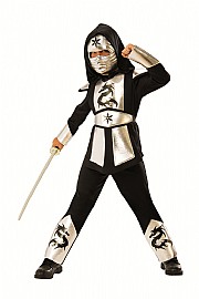דרקון נינג'ה הכסף דרקון נינג'ה הכסף