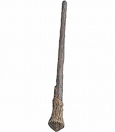 ����� ����� ���� ������ (���� ����) 