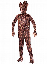 ���� ����� �������