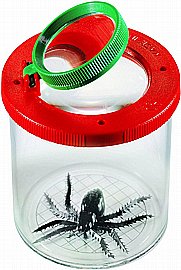 ������ ����� ���  ���� TOBAR