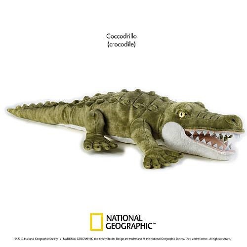 ���� �50 �"�