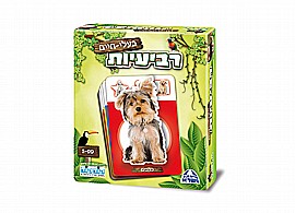 ������� ����� ���� ����