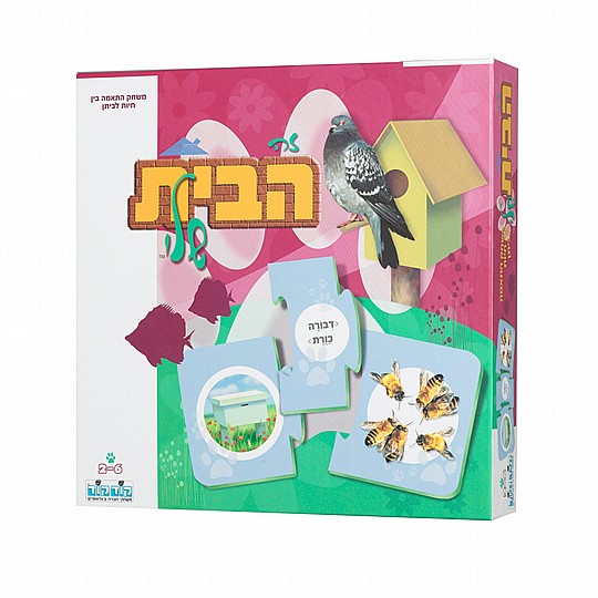 �� ���� ���