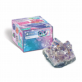 ���� ���� ������ ������