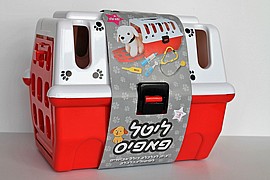 ���� ����-���� �����