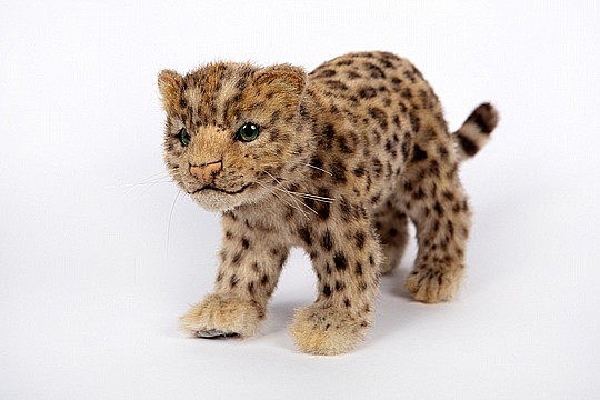 ������ ������ 44 �"� AMUR LEOPARD