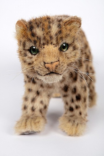 ������ ������ 44 �"� AMUR LEOPARD