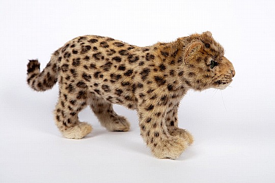 ������ ������ 44 �"� AMUR LEOPARD