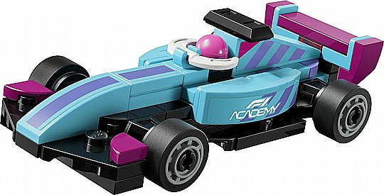 ��� ���� - ���� ������ F1 ACADEMY
