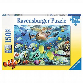 ��� 150 ���� ���