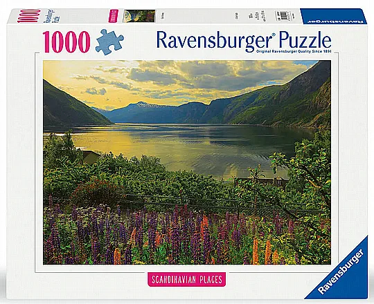 ��� 1000 - ����� ���������