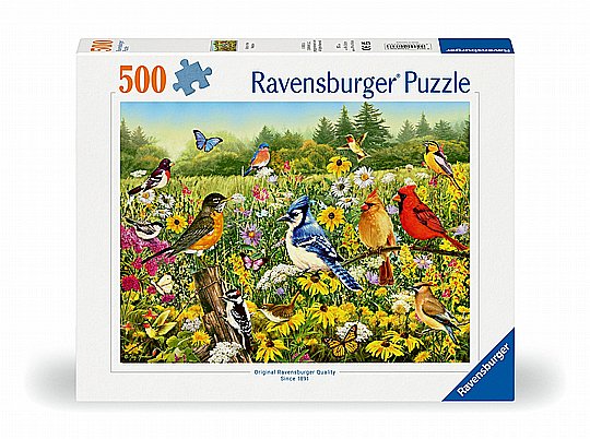 ��� 500 �� ��� ����