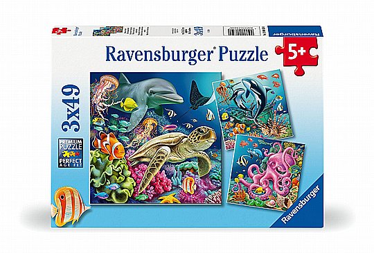 ��� 3X49 ����� - ����� ������ ���� ����