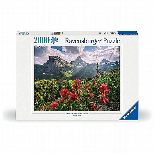 ���� 2000 �� ��� ���� ������� ����