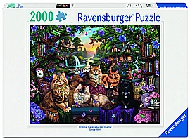 ��� 2000 ������ ������ ����� �����'