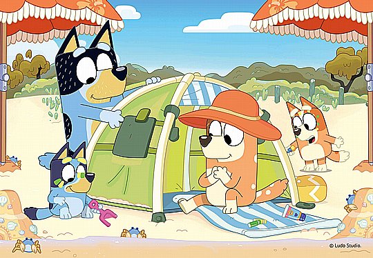  ��� 2X24 ����� BLUEY