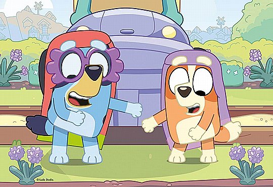 ��� 35 ����� BLUEY