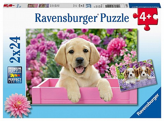 ��� 2X24 �������