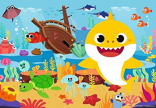 ��� 2X12 ����� ����� SHARK