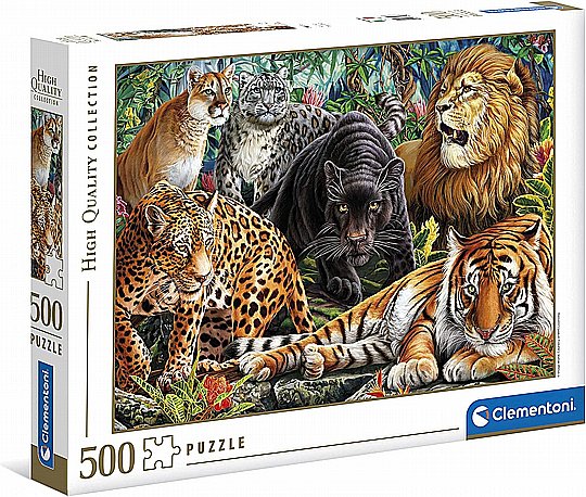 ��� 500 �� �������