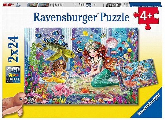 ��� 2X24 �� �� �������