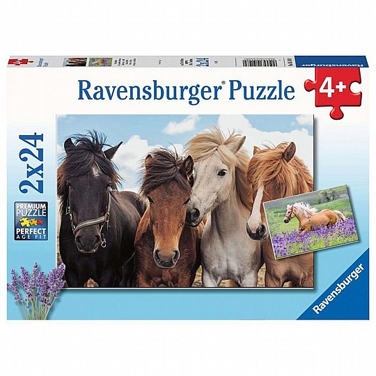 ��� 2X24 �����