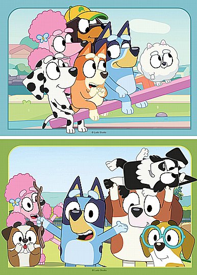 ��� 2X12 �� BLUEY
