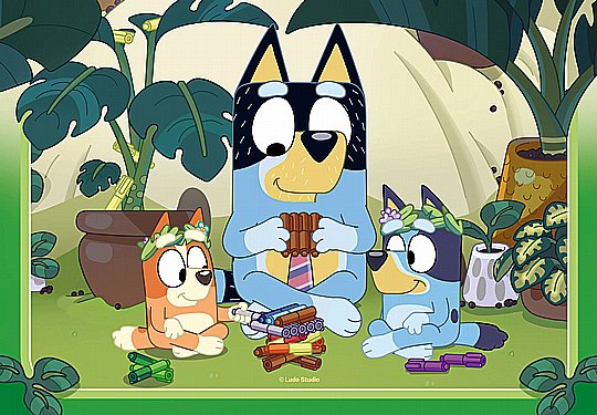  ��� 2X24 ����� BLUEY