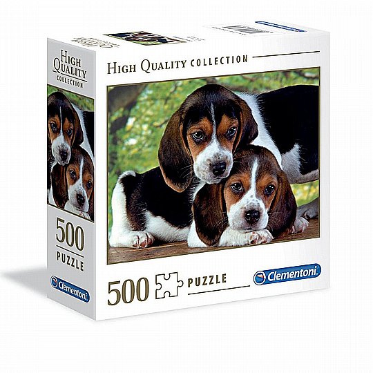 ��� 500 �� ��� ����
