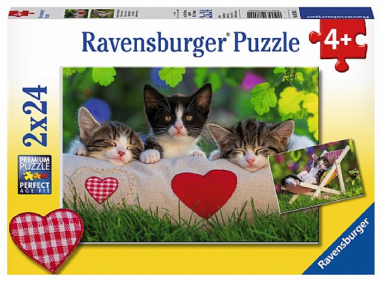  ��� 2X24 ������ �������
