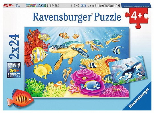  ��� 2X24 ���� ����