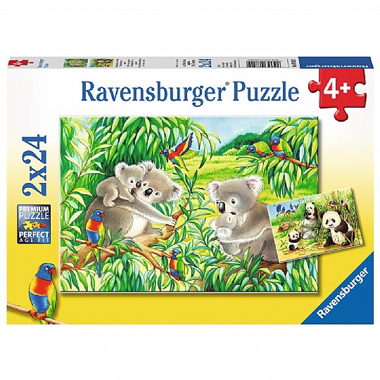  ��� 2X24 ���� ����� ������
