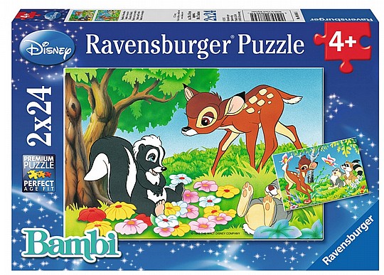  ��� 2X24 ����