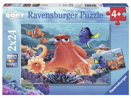 ��� 2X24 ������ �� ����
