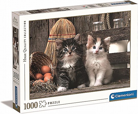 ��� 1000 �� ��� ���� ������