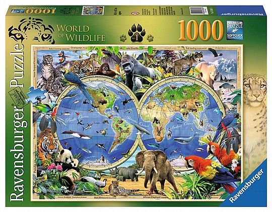  ��� 1000 ��"� ���� �����