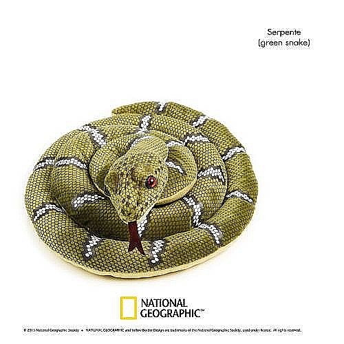 ����� <br> ������ ����� ������