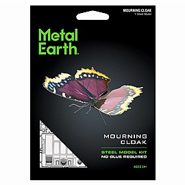 פרפר MOURNING CLOAK פרפר MOURNING CLOAK