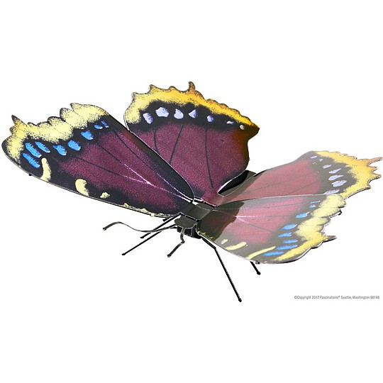 ���� MOURNING CLOAK