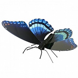 פרפר אדום מנוקד סגול פרפר אדום מנוקד סגול