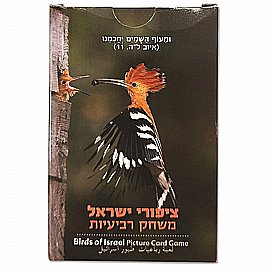 ���� ������ ������� ����