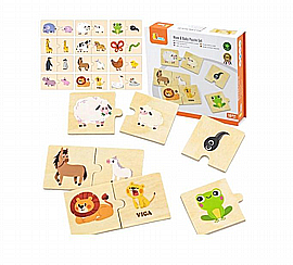 ���� ����� ��� ������ ����