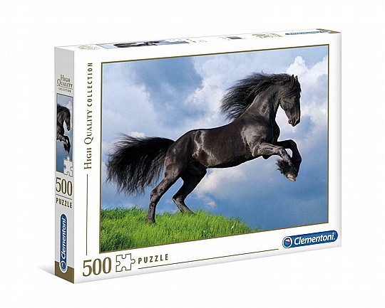 ��� 500 �� ��� ���� ����