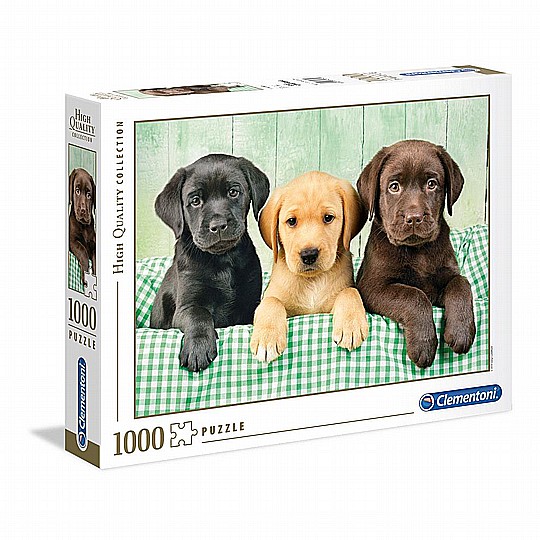 ��� 1000 ���� ������