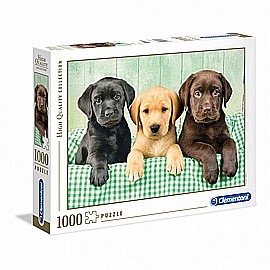 פזל 1000 גורי לברדור פזל 1000 גורי לברדור