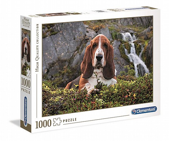  ��� 1000 ����� �����