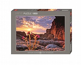 פזל 1000 פריחה על רקע הררי פזל 1000 פריחה על רקע הררי