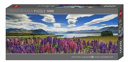  ��� 1000 ����� ������ ����� ��� ��� �����